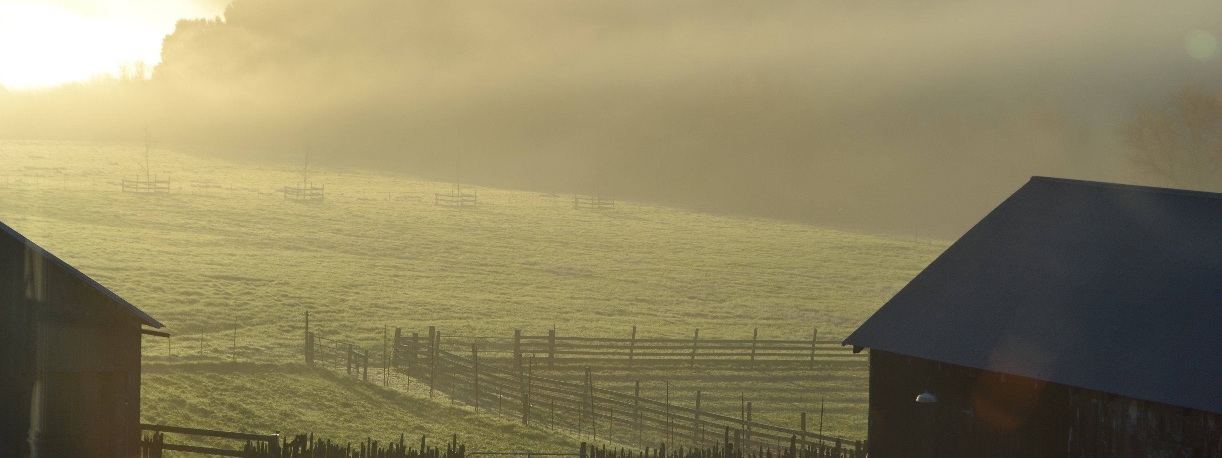 Chileno Valley Ranch Fog